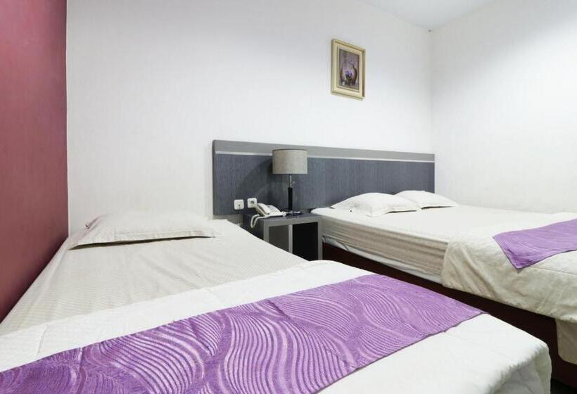 Семейный Номер, Paus Guest House Pekanbaru