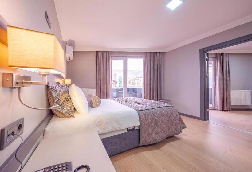 Люкс, Safranbolu çelebi̇ Otel
