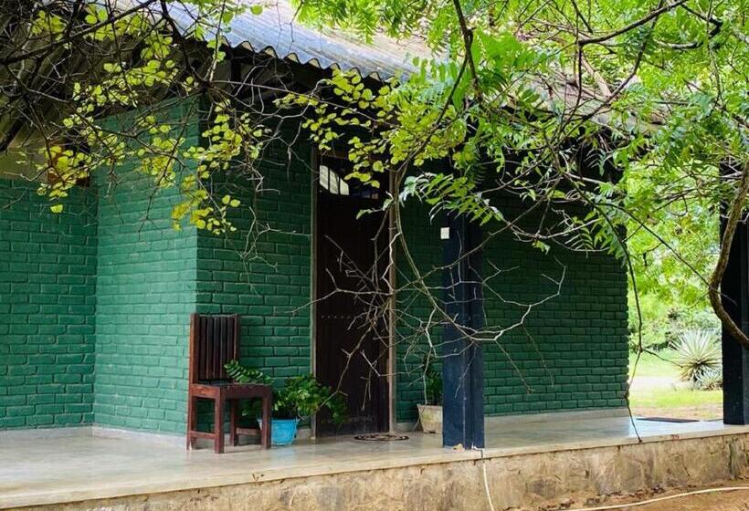 标准间, Yala Ying Yang Hostel & Camping