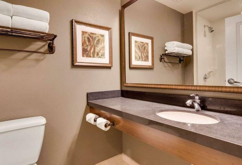 Стандартный Номер Кровать Кинг, Best Western Plus Chandler Hotel & Suites