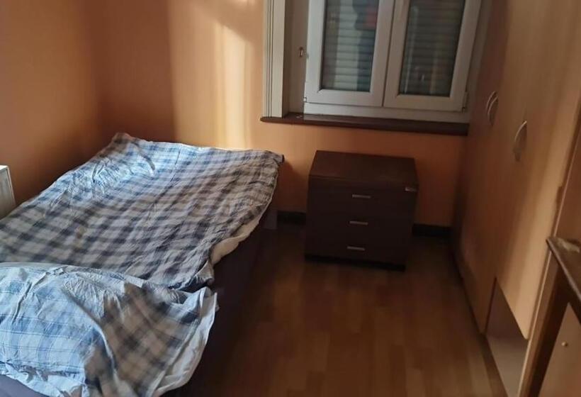 Одноместный Номер Basic, Guest House