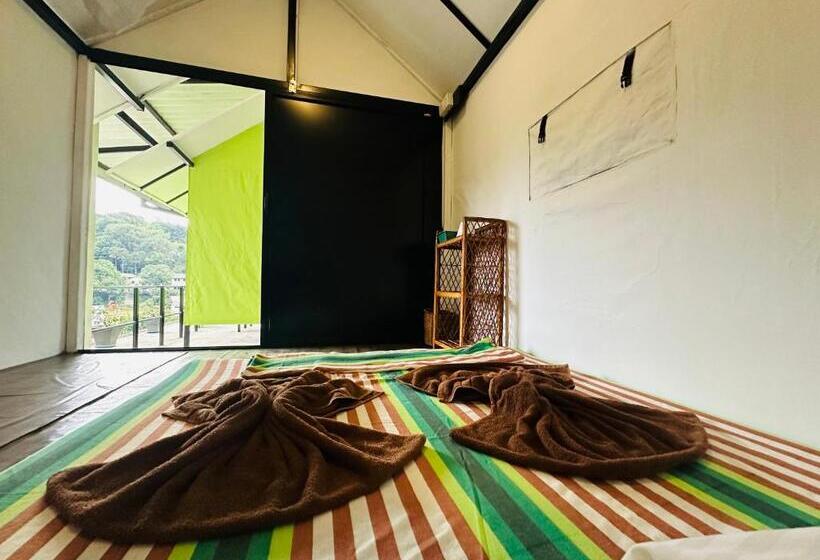 标准间, The Sky Tents