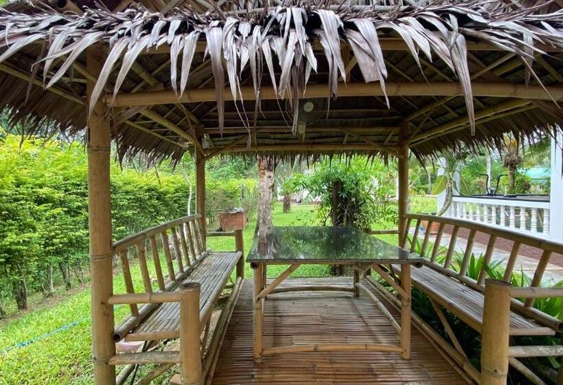 이코노미 룸, Palm Gardens Resort, Bang Saphan