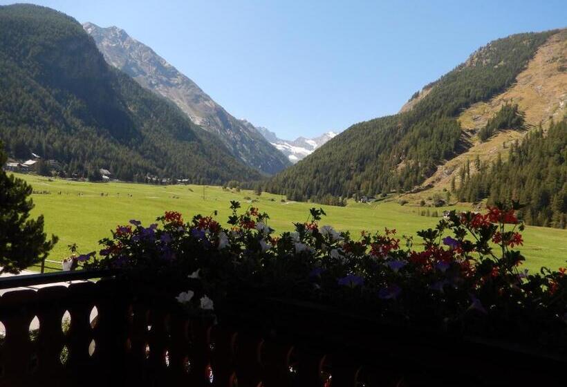 اتاق استاندارد با چشم‌انداز کوهستان, Albergo Du Soleil