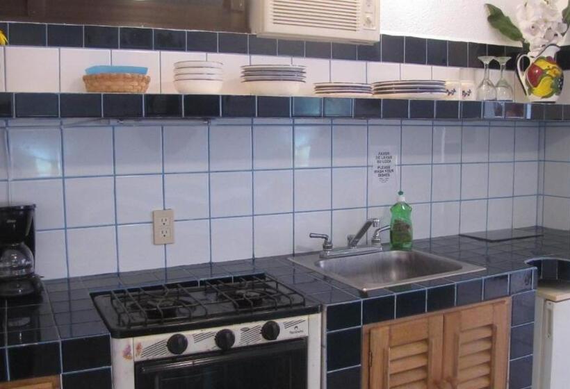 Büyük Çift Kişilik Yataklı Standart Oda, La Paloma Oceanfront Retreat
