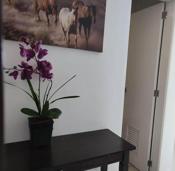 Семейный Номер Deluxe, 60 Percent Off Deluxe Ocean View Rooms Free Pool And Free Sauna Access Included Perfect Location Nea