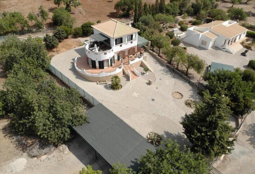 Люкс с Террасой, Alojamento Local Patudos, Suite Com Terraço Privado