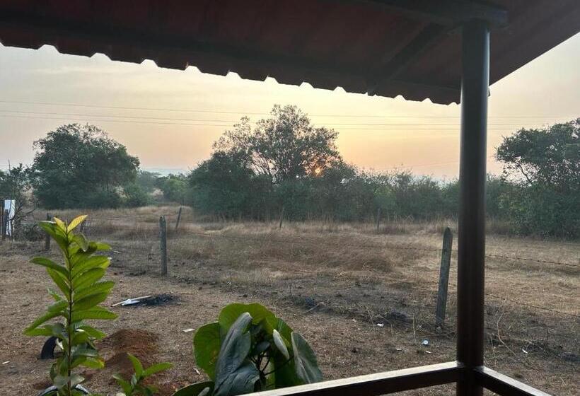 Семейный Номер, Hiranya Farm Stay