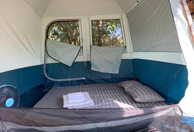 Standard Tent, Maloop Cafe Bungalow