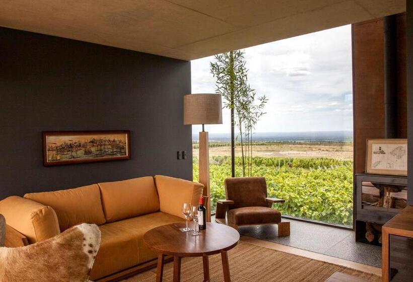 带1个卧室的别墅, Casa De Uco Vineyards And Wine Resort