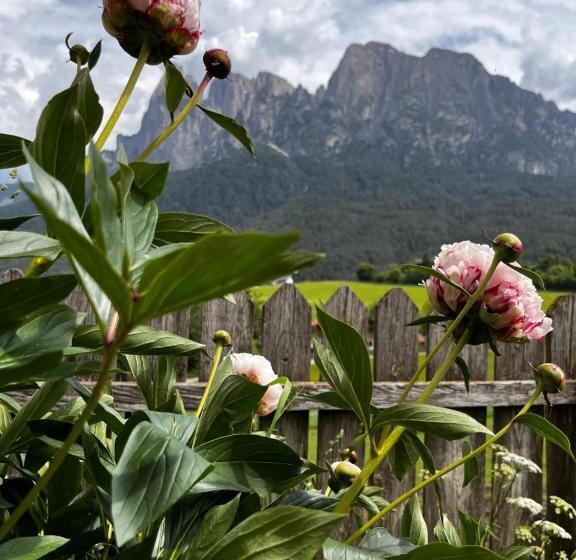Люкс Superior, Mesnerhof My Paradise