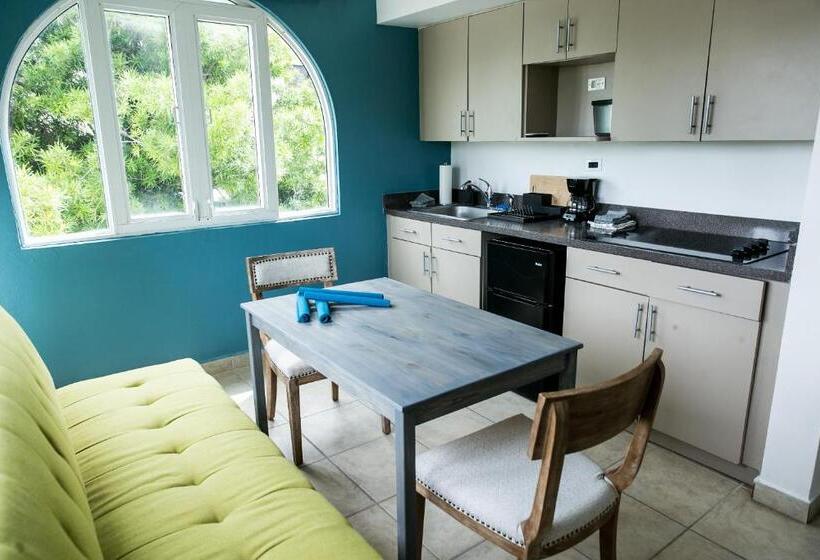 آپارتمان سوپریور 1 خوابه, Numero Uno Beach Apartments