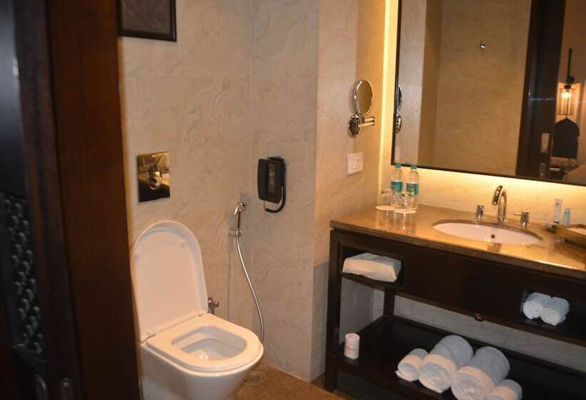带观景的标准间, Jaisalmer Marriott Resort & Spa