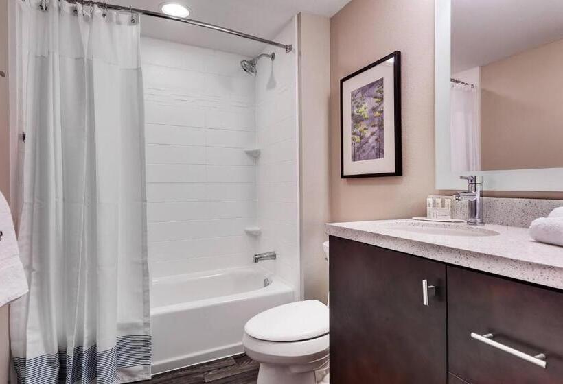 Люкс Адаптированный для Инвалидов, Towneplace Suites By Marriott Austin Parmer/tech Ridge