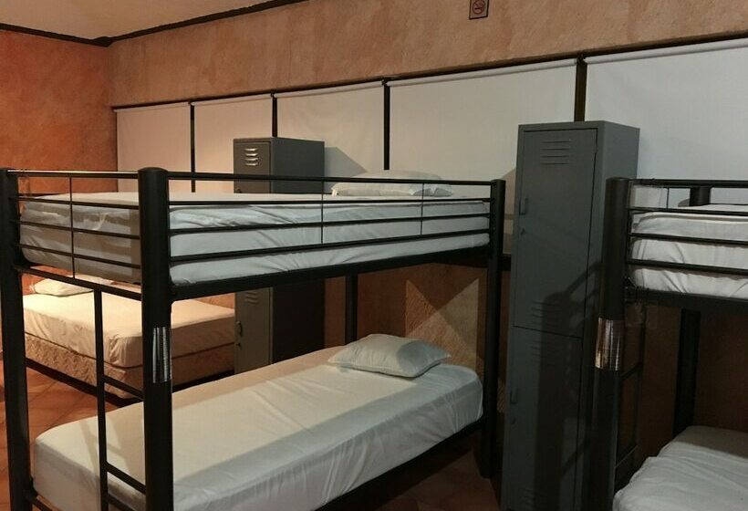 מיטה בחדר משותף, Hostal San Jemo León   Hostel