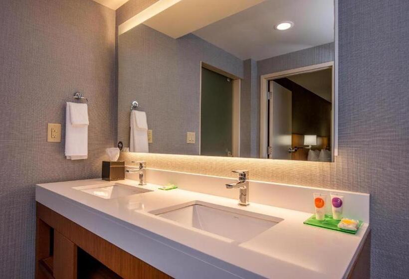 Quarto Standard Cama King, Hyatt Place Chicago Ohare Airport