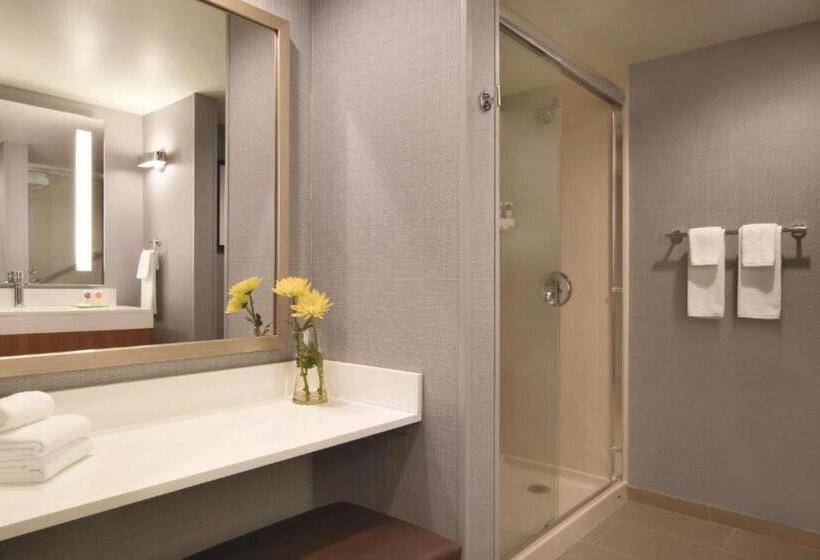 Quarto standard, Hyatt Place Chicago Ohare Airport