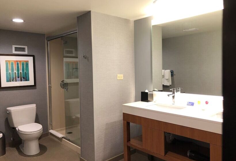 Quarto Standard 2 Camas Casal, Hyatt Place Chicago Ohare Airport