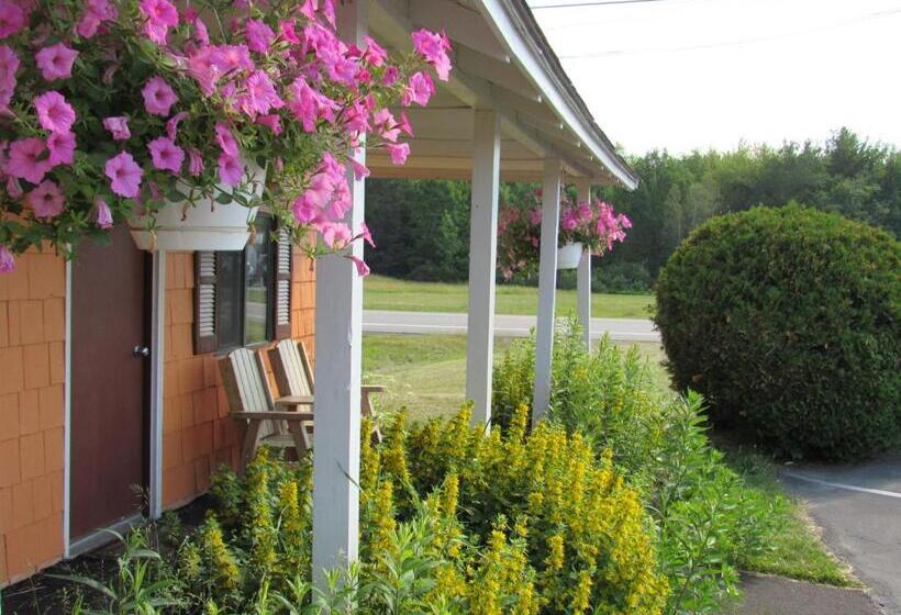 Номер Стандарт, Acadia Gateway Motel