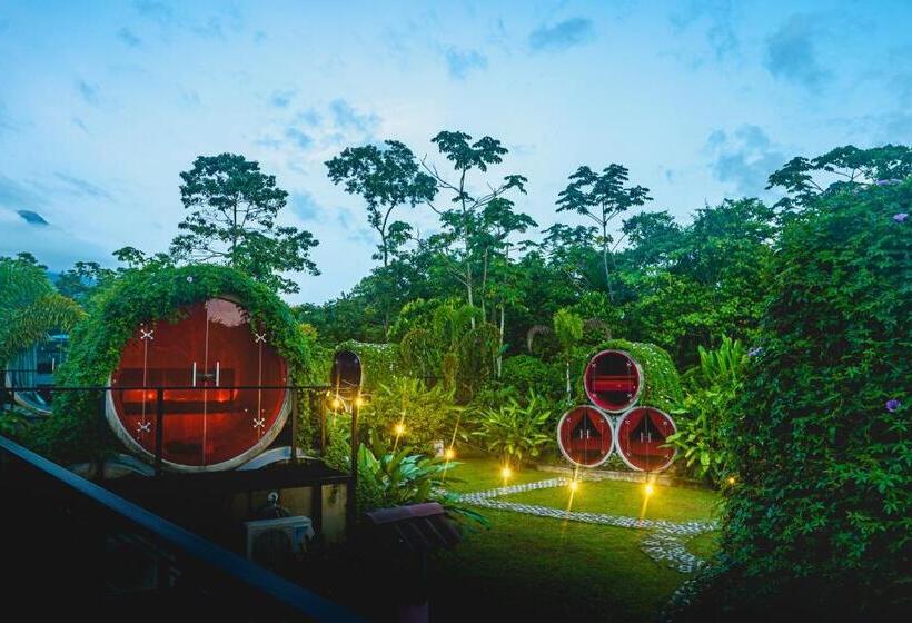 Номер Стандарт, Arenal Backpackers Resort