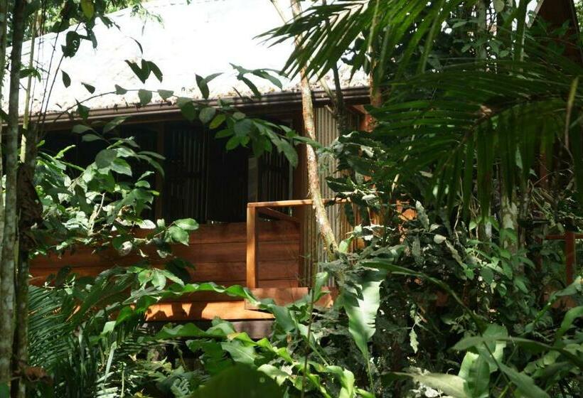 수피리어 방갈로, Mar Verde Lodge