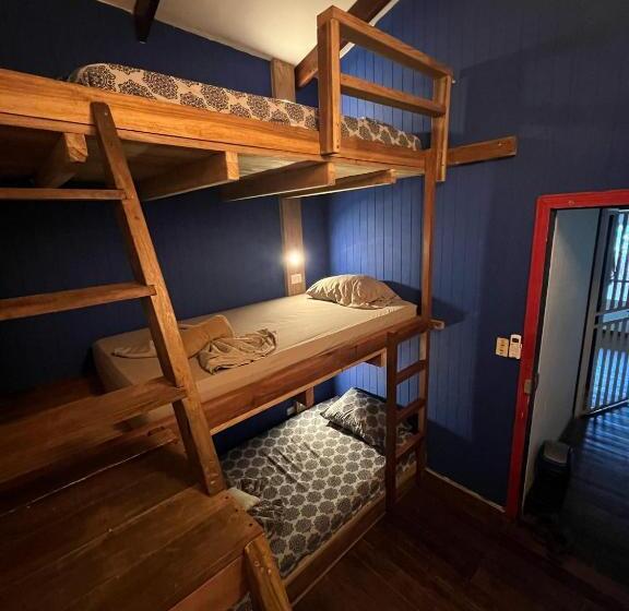 Трехместный Номер Стандарт Совместная Ванная, Playa 506 Beachfront Hostel