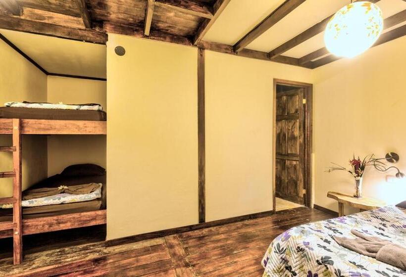 Полулюкс с Балконом, Playa 506 Beachfront Hostel