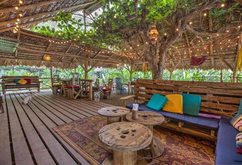 Полулюкс с Балконом, Playa 506 Beachfront Hostel