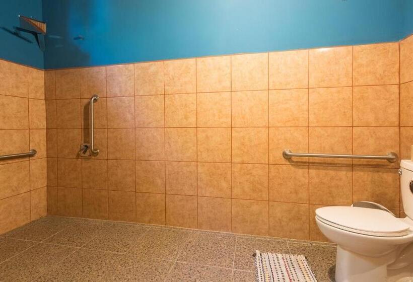 Номер Deluxe Адаптированный для Инвалидов, Playa 506 Beachfront Hostel