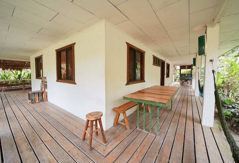Кровать в Многоместном Номере с Общей Ванной, Playa 506 Beachfront Hostel