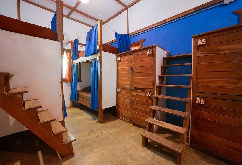Кровать в Многоместном Номере с Общей Ванной, Playa 506 Beachfront Hostel