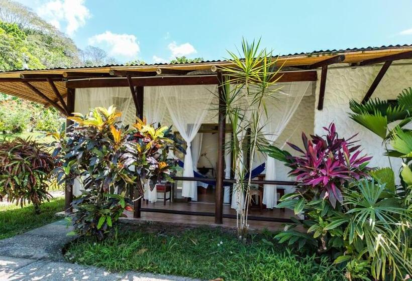Полулюкс, Villas Rio Mar