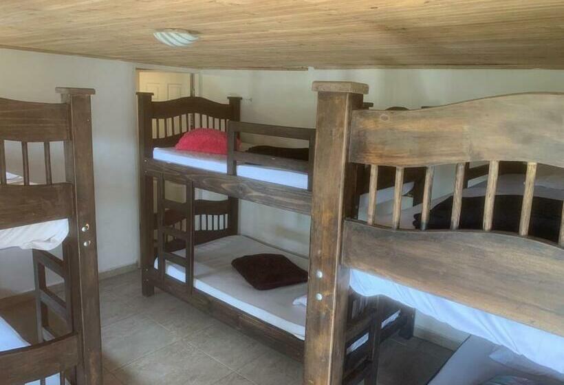 共用房间的床, Hostal Hilltop Salento