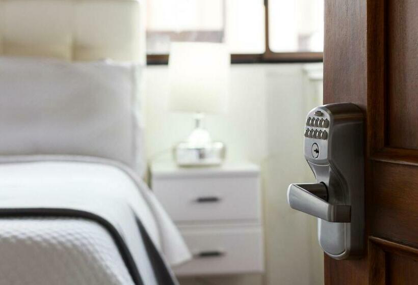 اتاق لوکس, Penthouse Lodge B&b