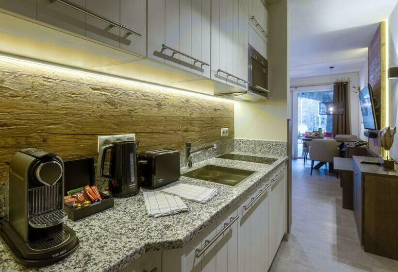 스탠다드 스튜디오, Avenida Mountain Lodges Saalbach