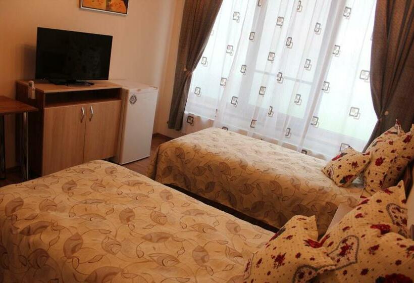 스탠다드 룸, Camere Apartament Steyna