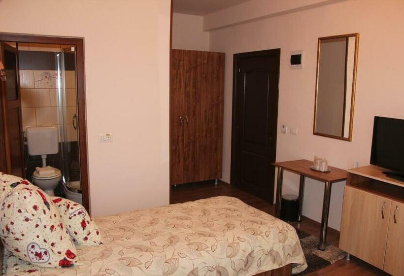 스탠다드 룸, Camere Apartament Steyna