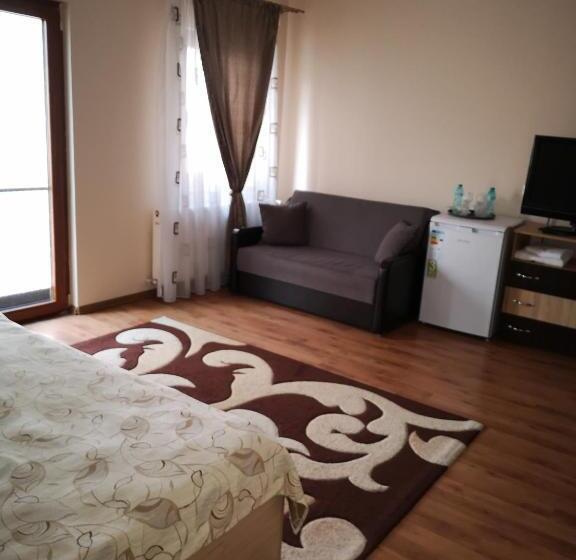 스탠다드 룸, Camere Apartament Steyna
