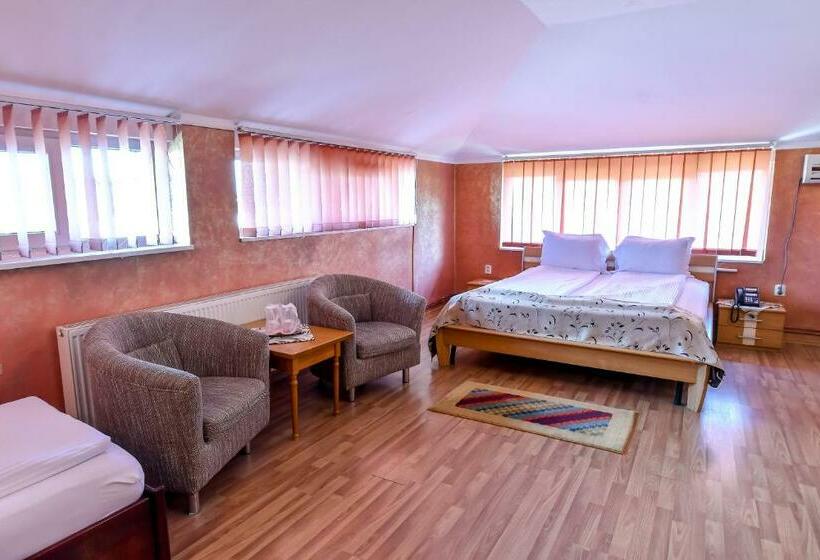 Семейный Номер, Motel Perla Sigheteana