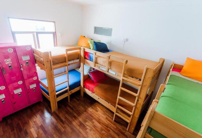 공동 객실, Dragonfly Hostels Miraflores