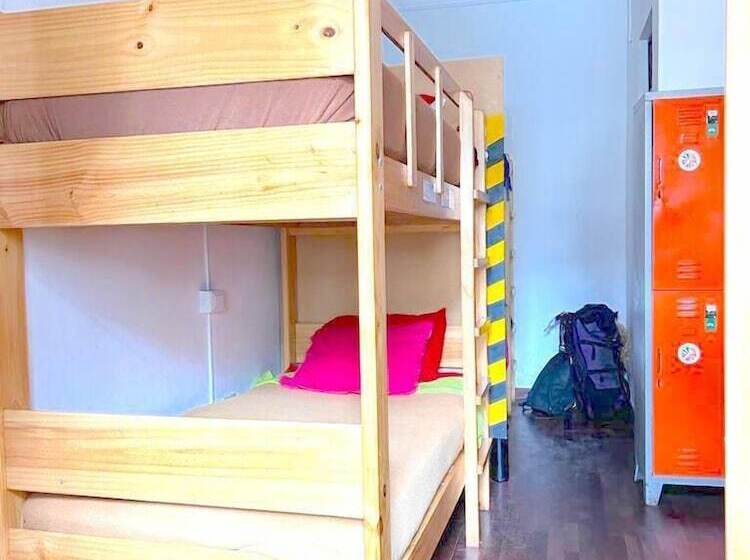 공동 객실, Dragonfly Hostels Miraflores
