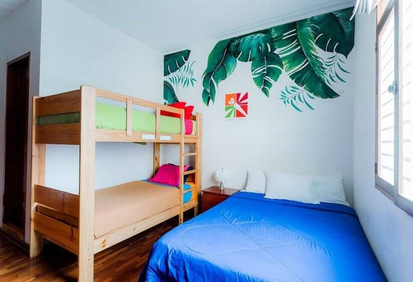 스탠다드 룸, Dragonfly Hostels Miraflores