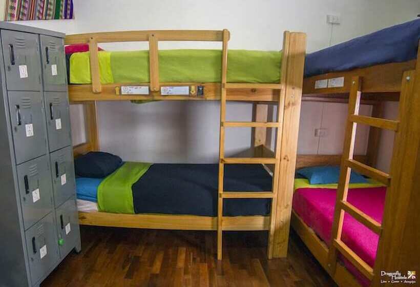 공동 객실, Dragonfly Hostels Miraflores