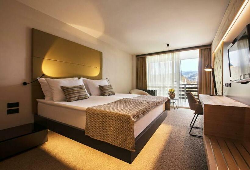 اتاق استاندارد با چشم‌انداز دریاچه, Rikli Balance Hotel – Sava Hotels & Resorts