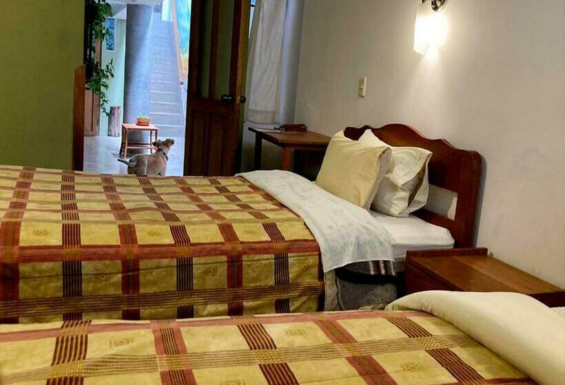 스탠다드 트리플 룸, Eco Home View   Guest House
