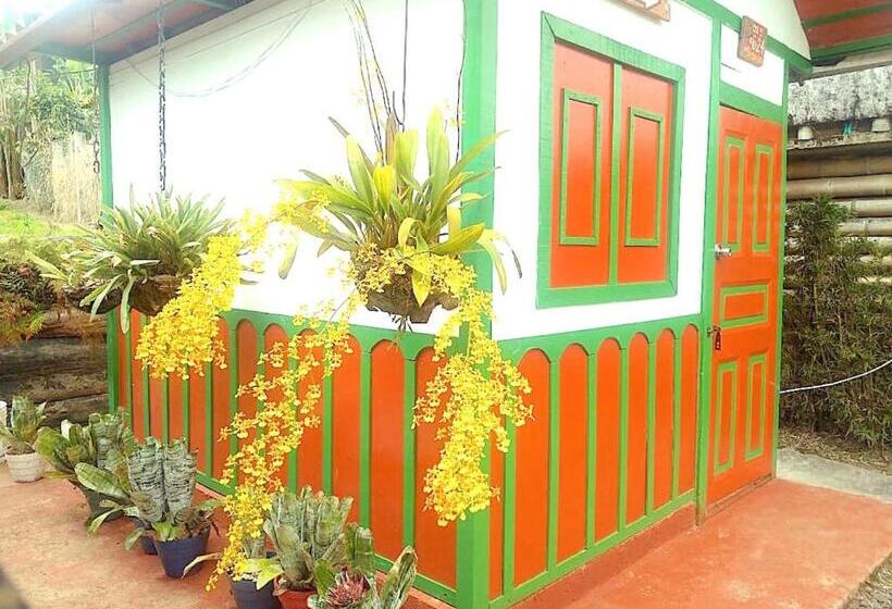 Хижина, Hostal Estrella De Agua