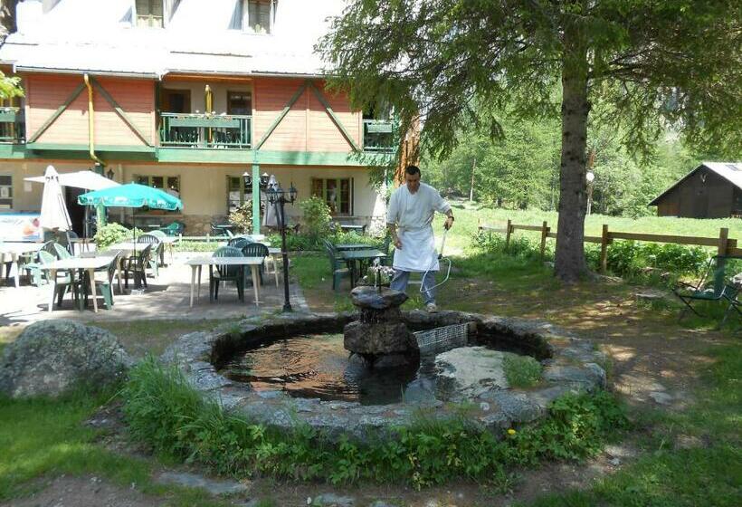 Номер Стандарт, Hôtel Engilberge