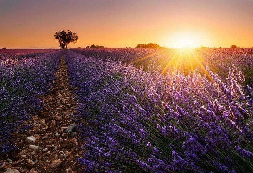 غرفة قياسية رباعية, Hôtel Le Relais Du Luberon