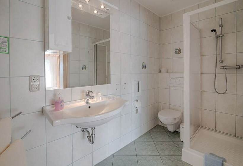 标准单人间, Elbterrassen Zu Brambach