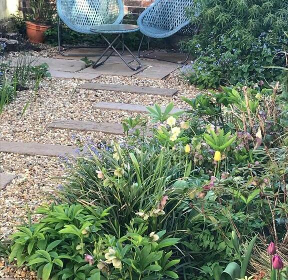 标准房带园景, Garden Studio